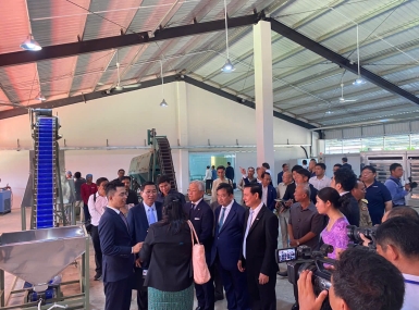 Cashew processing line completed in Cambodia.
