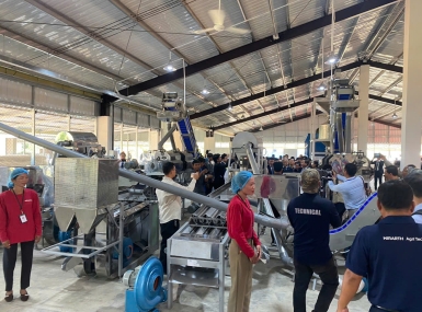 Cashew processing line completed in Cambodia.