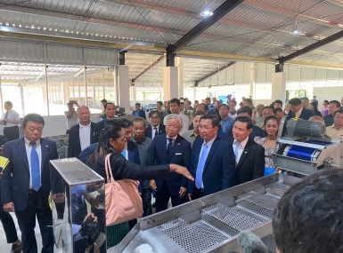Cashew processing line completed in Cambodia.